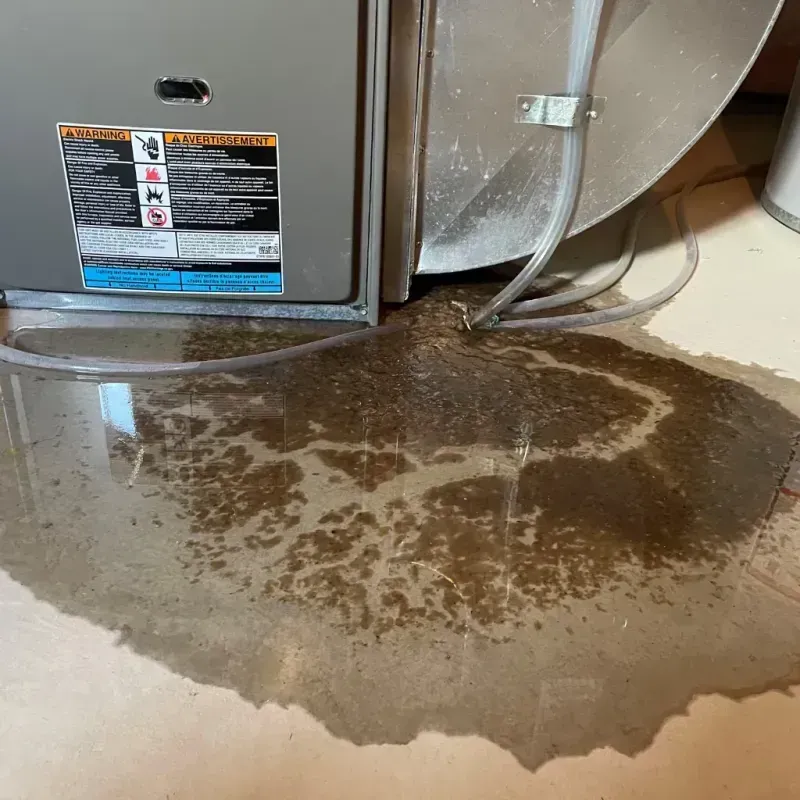 Appliance Leak Cleanup in Fairmount Heights, MD